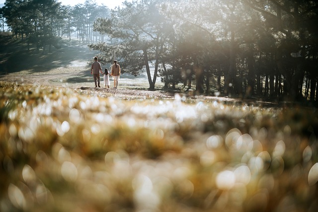 Insurance Products Adjustment: Lower Interest Rates Approaching